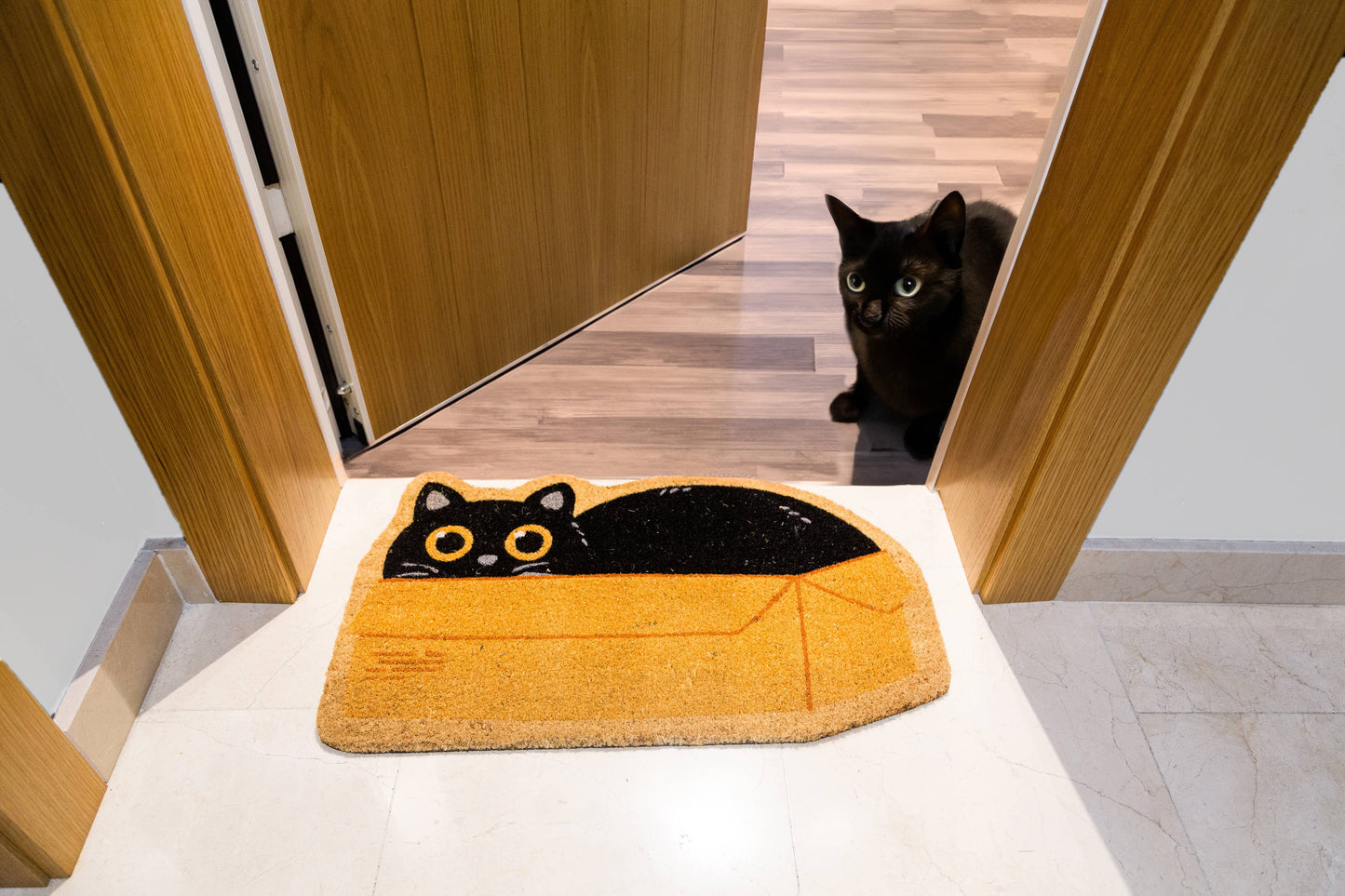 Cat Box Doormat