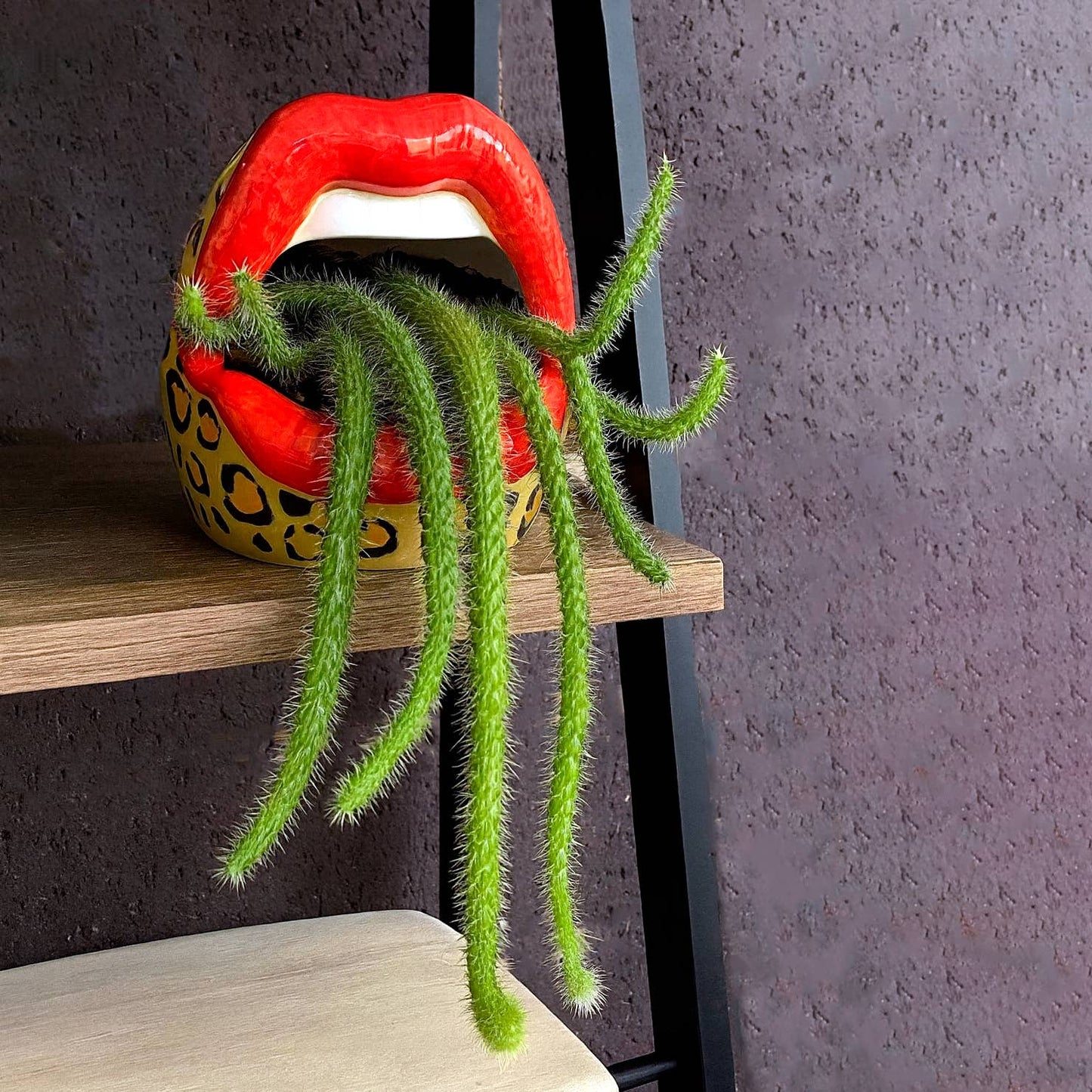 Leopard Mouth Multipurpose Container