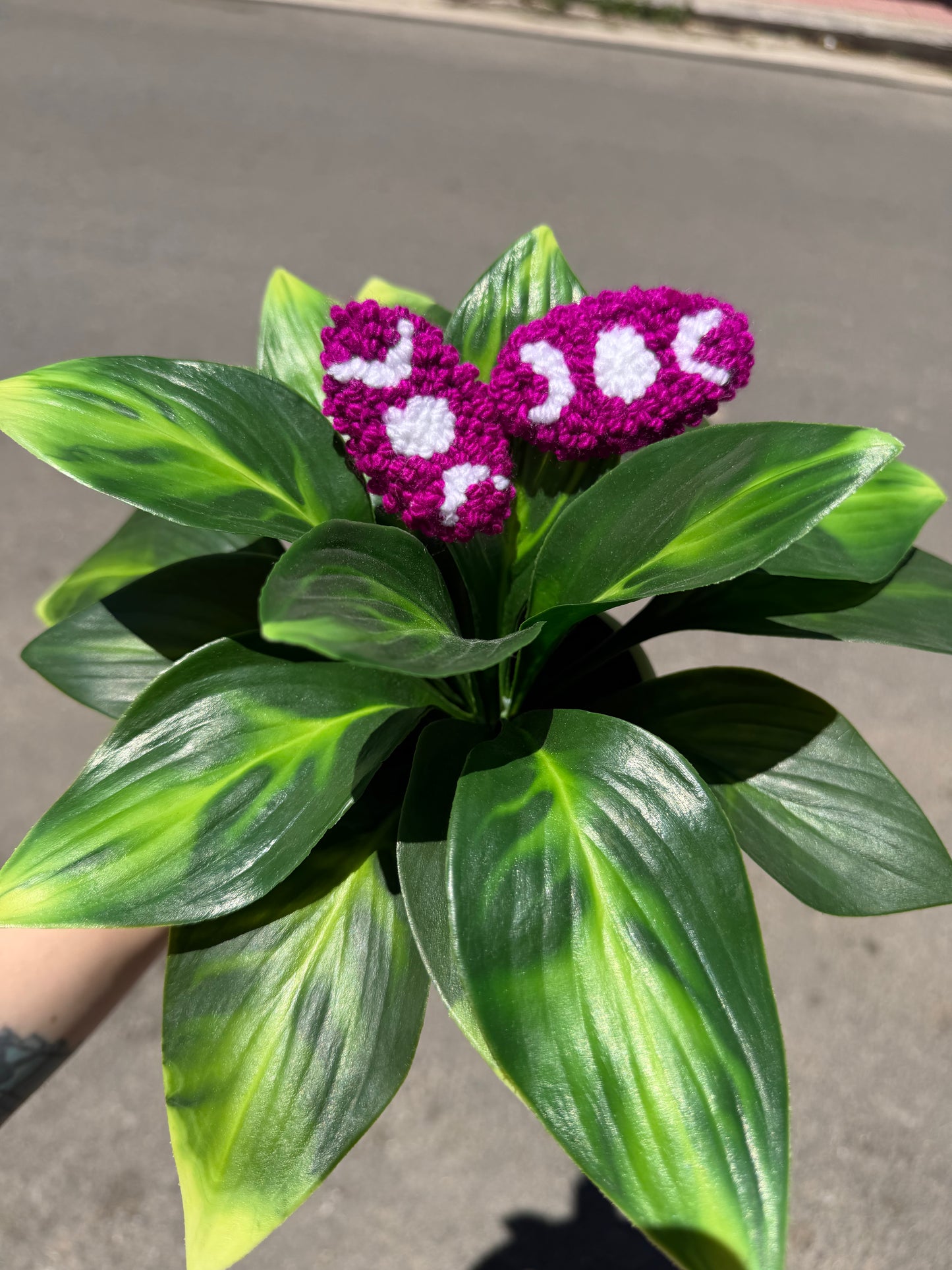 Punch hair clips (duo)